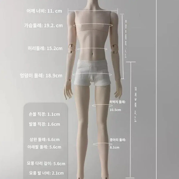 [BUNJANG] BJD 1/4 Scale Male Body (Unused) / 구관 4분 bjd 남아 바디 구체관절인형 풀박스 바디
