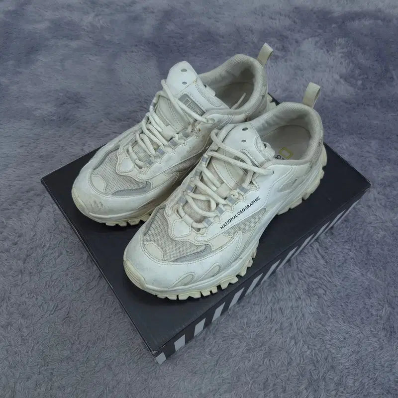[BUNJANG] National Geographic Sneakers / 26.0 내셔널지오그래픽 운동화 | 0806A30
