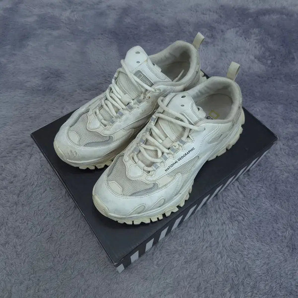 [BUNJANG] National Geographic Sneakers / 26.0 내셔널지오그래픽 운동화 | 0806A30
