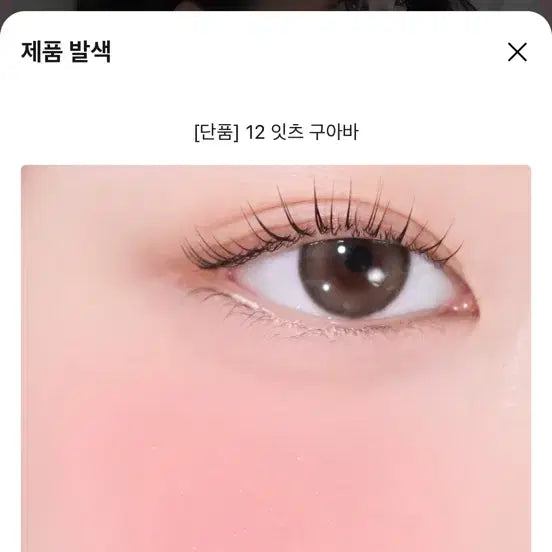[BUNJANG] VDI Blusher 12 It's Guava / VDI 블러셔 12 잇츠 구아바