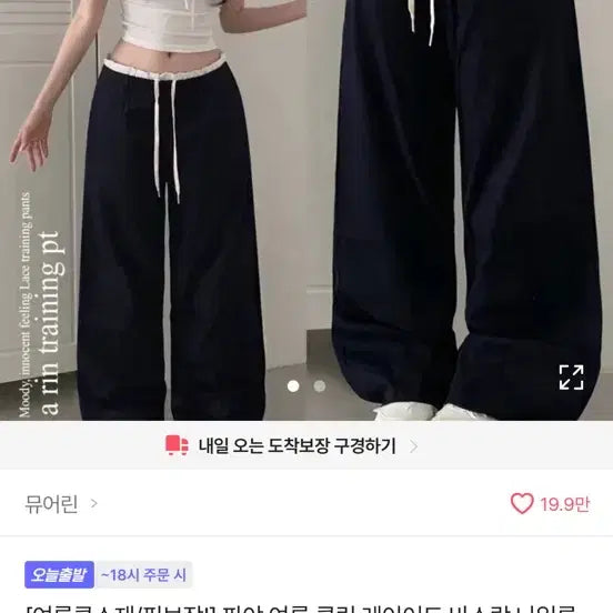 [BUNJANG] Summer Cooling Training Pants / 여름 쿨링 트레이닝 팬츠