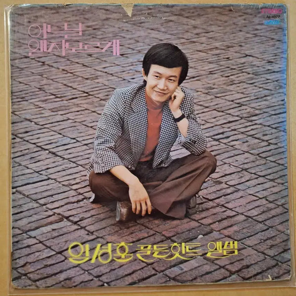 [BUNJANG] Im Sung Hoon Golden Hit Album LP / 임성훈 골든힛트 앨범 LP/귀한음반