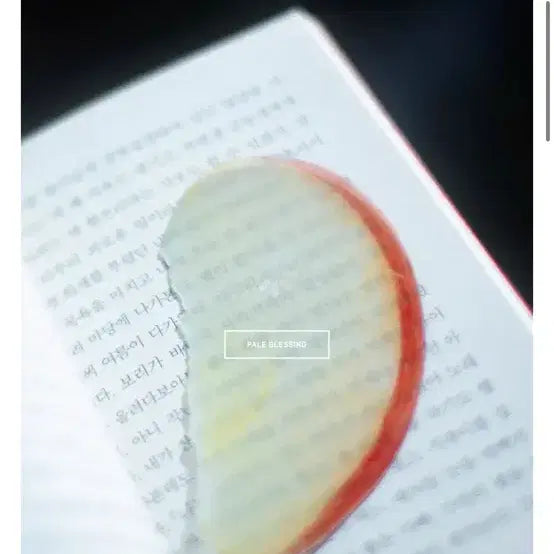 [BUNJANG] Lee Okto Apple Bookmark (Sealed) / 이옥토 사과 책갈피 미개봉
