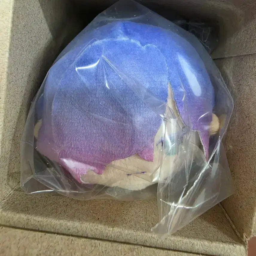 [BUNJANG] Fate/Grand Order Caster of the Nightless City Mozzi Plush / 페그오 세레제이라 모찌