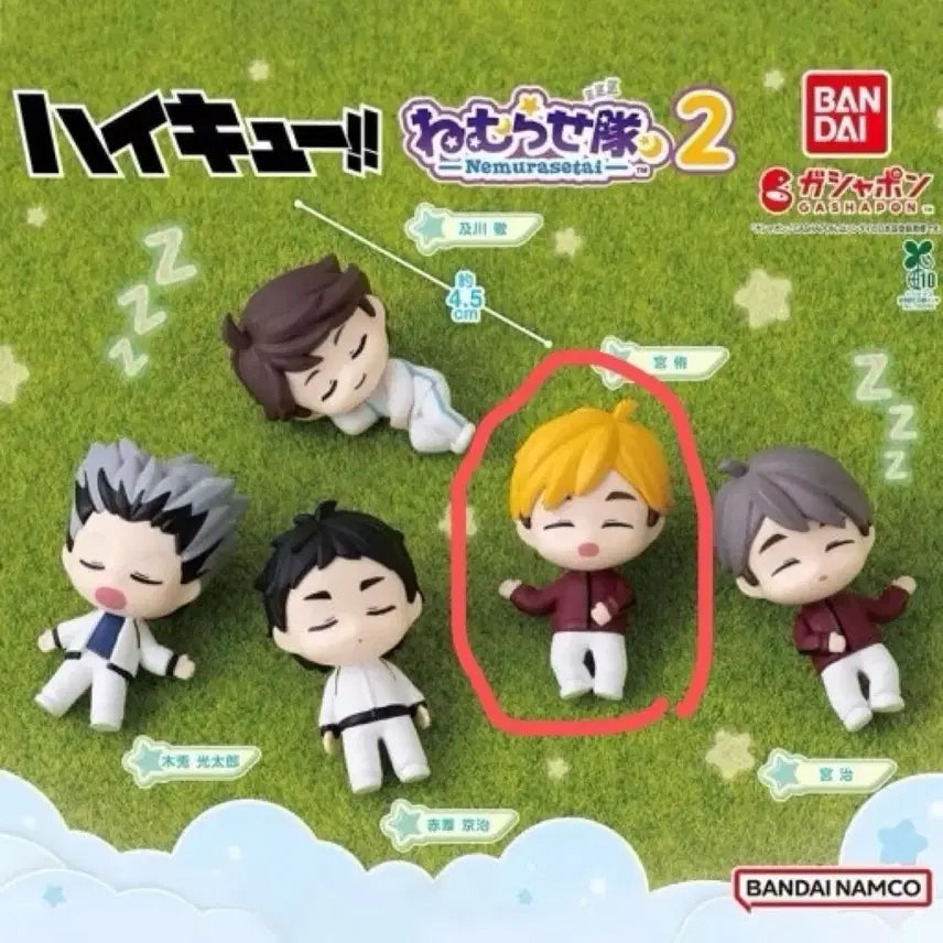 [BUNJANG] Haikyuu!! Nemurasetai Vol. 2 Osamu Miya / 하이큐 네무라세타이 가챠 아츠무