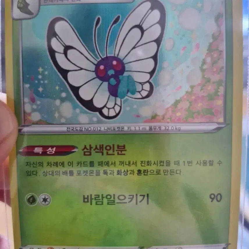 [BUNJANG] Pokemon Card Butterfly / [포켓몬카드]버터플