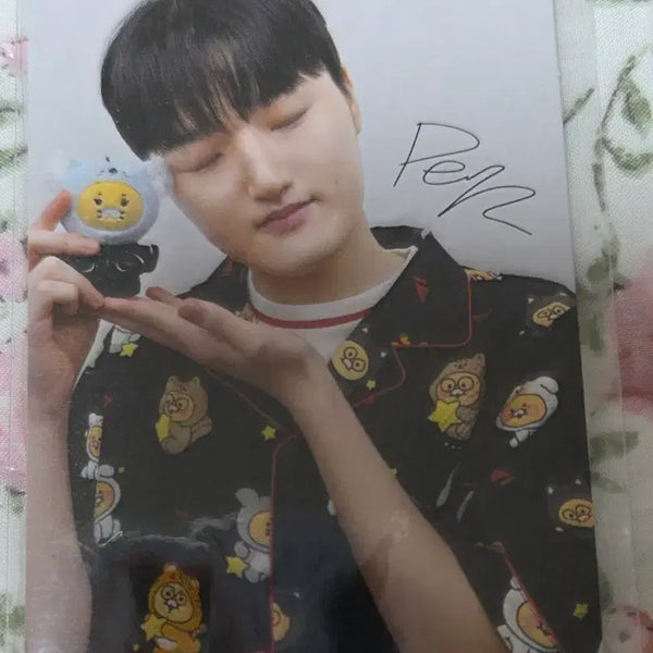 [BUNJANG] Phase Chunsik Photocard / 페이즈 춘식 포토카드