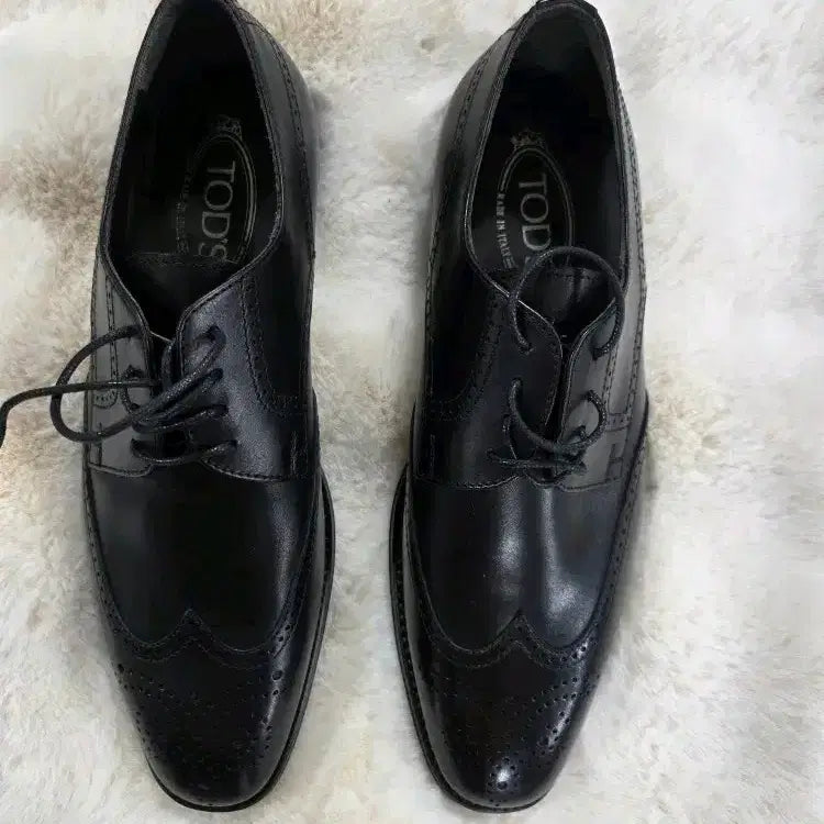 [BUNJANG] Tod's Wingtip Shoes Black / 토즈 윙팁 슈즈 블랙 ㅊ
