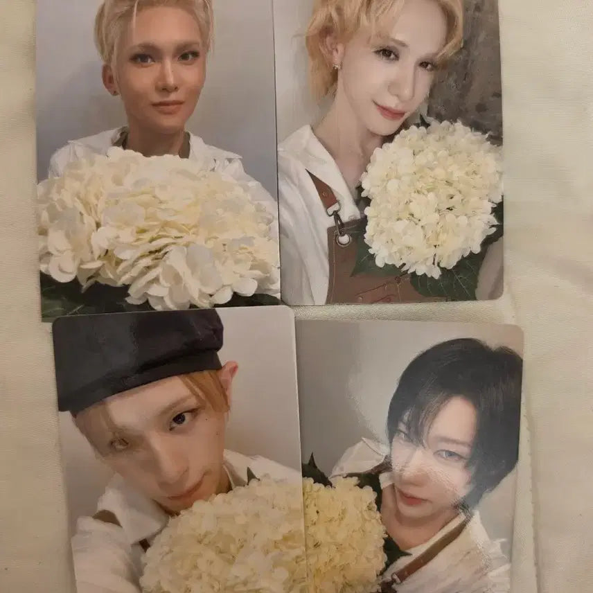 [BUNJANG] Xlove Florist Version Individual Photocard / xlov 엑스러브 카페 플로리스트 ver 개인