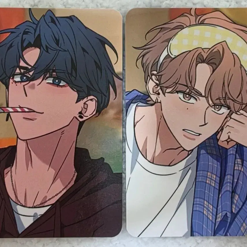 [BUNJANG] Bomtoon Sweet Home Sketch Photocard / 봄툰 시그 봄 스윗 홈 <스케치> 포토카드&엽서