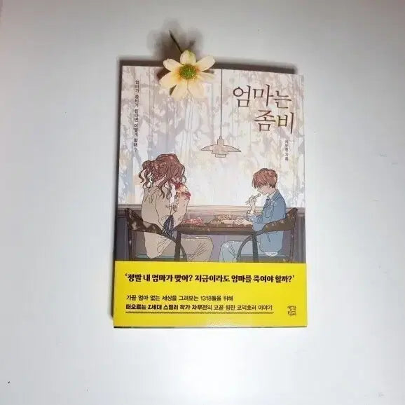[BUNJANG] Mom is a Zombie Novel / 엄마는 좀비