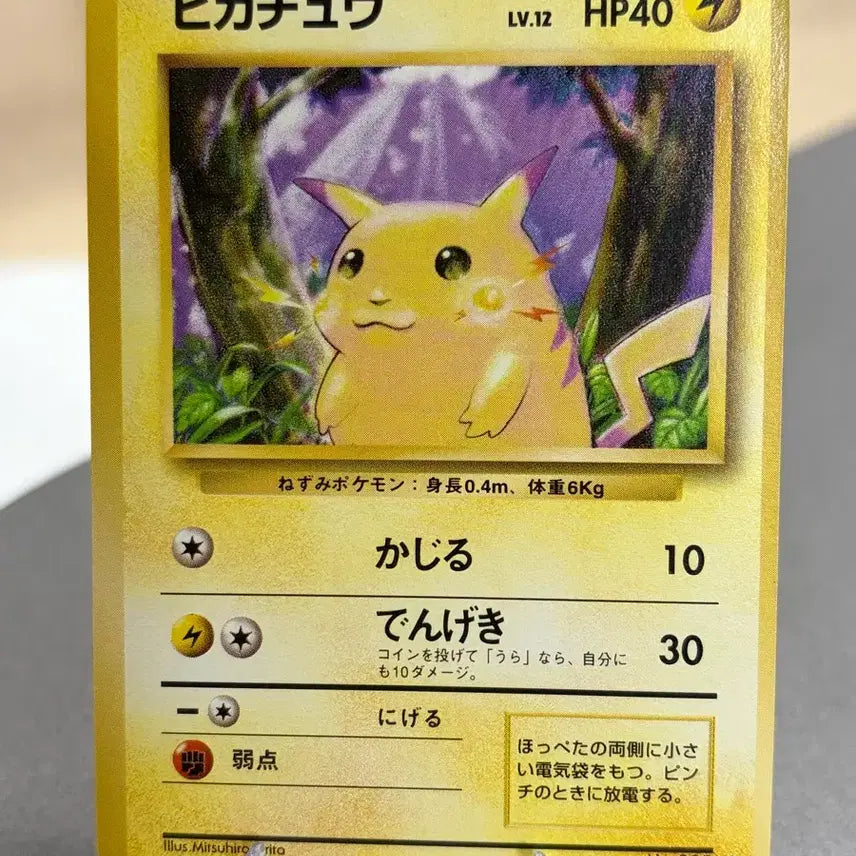 [BUNJANG] Pokemon Card 1990s Old Back (1st Edition) Pikachu Fat Pikachu Japanese / 포켓몬카드 1990년대 올드백(초판) 피카츄 뚱카츄 일판