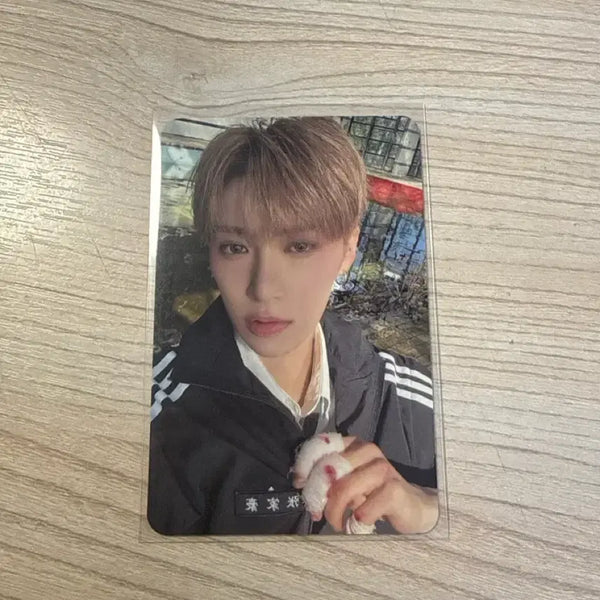 [BUNJANG] ALPHADRIVE1 ARNO Jang Jiahao Photocard / 알디원 알파드라이브원 아르노 장지아하오 포카