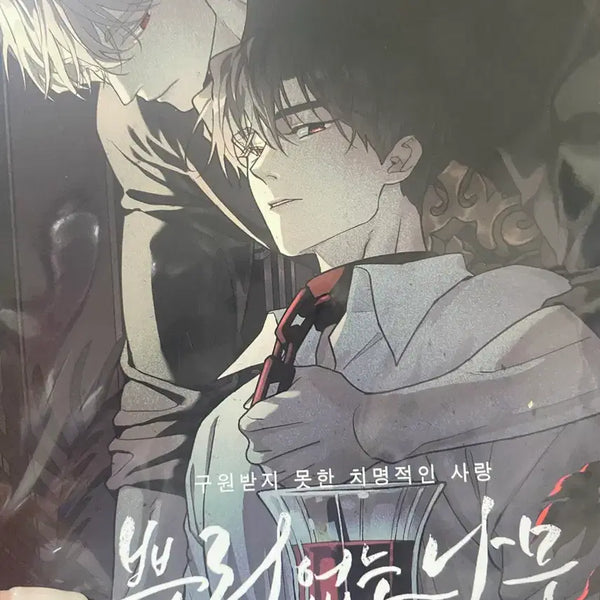 [BUNJANG] Rootless Tree Vol. 4 Jaeimi Shop Exclusive Photocard Poster / 뿌리 없는 나무 4권 재이미샵 특전 포카 포스터
