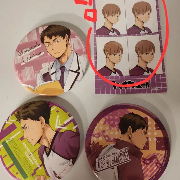 [BUNJANG] Haikyuu!! Wakatoshi Ushijima Can Badge Bundle Set / 하이큐 우시지마 와카토시 캔뱃지 일괄판매