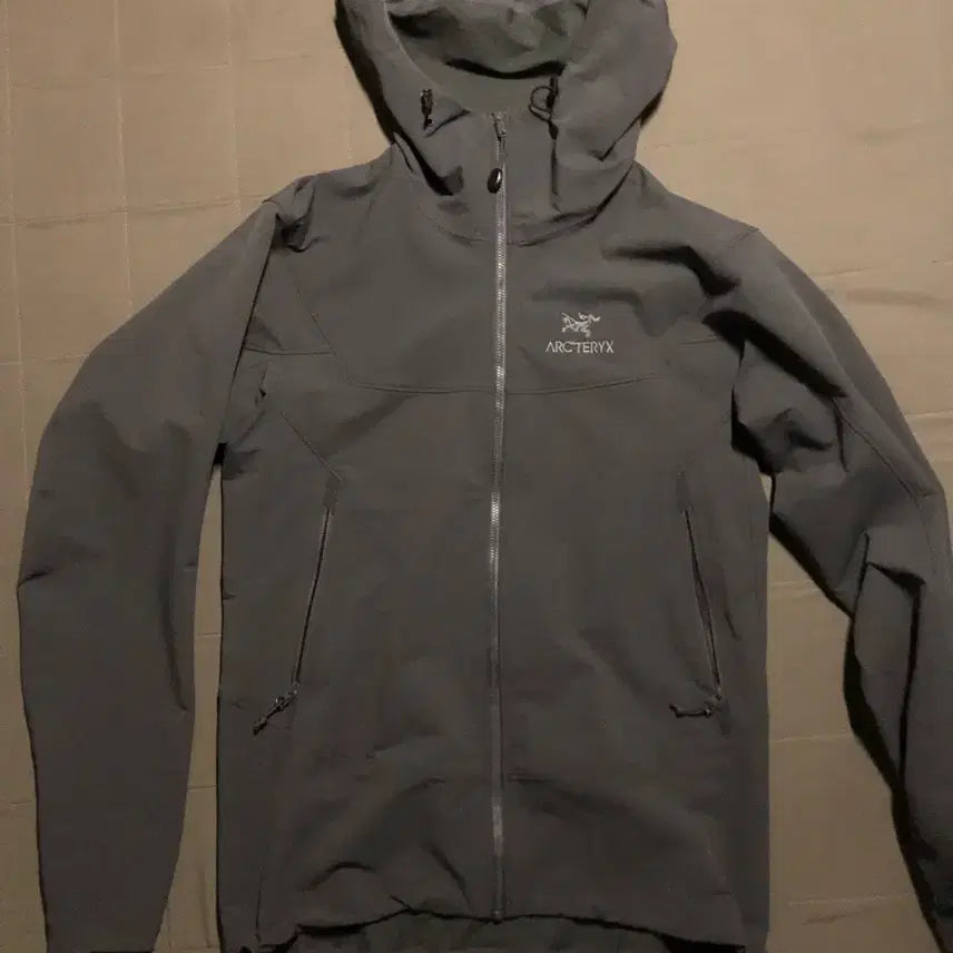 [BUNJANG] Arc'teryx Gamma SL Hoodie Men's / 이번주까지만 이 가격 ) 아크테릭스 감마 sl s