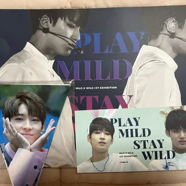 [BUNJANG] SEVENTEEN Mingyu Wonwoo Bundle Set / 세븐틴 민원 민규원우 비공굿 일괄