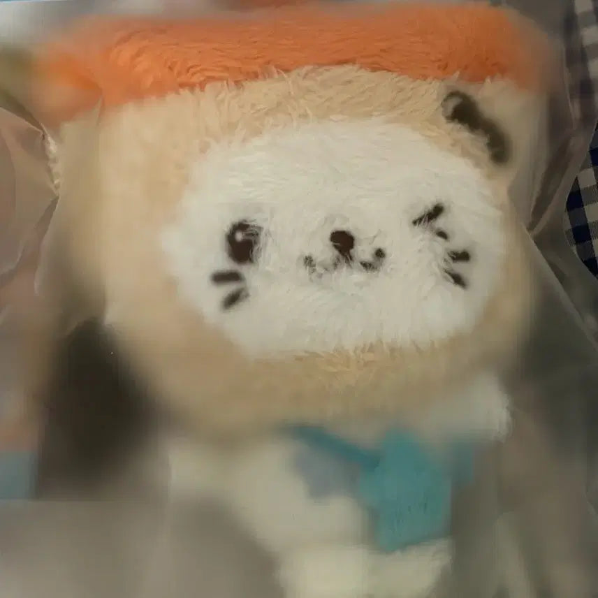 [BUNJANG] Wishdoll Bubble Cat Sealed / 위시돌 버블냥