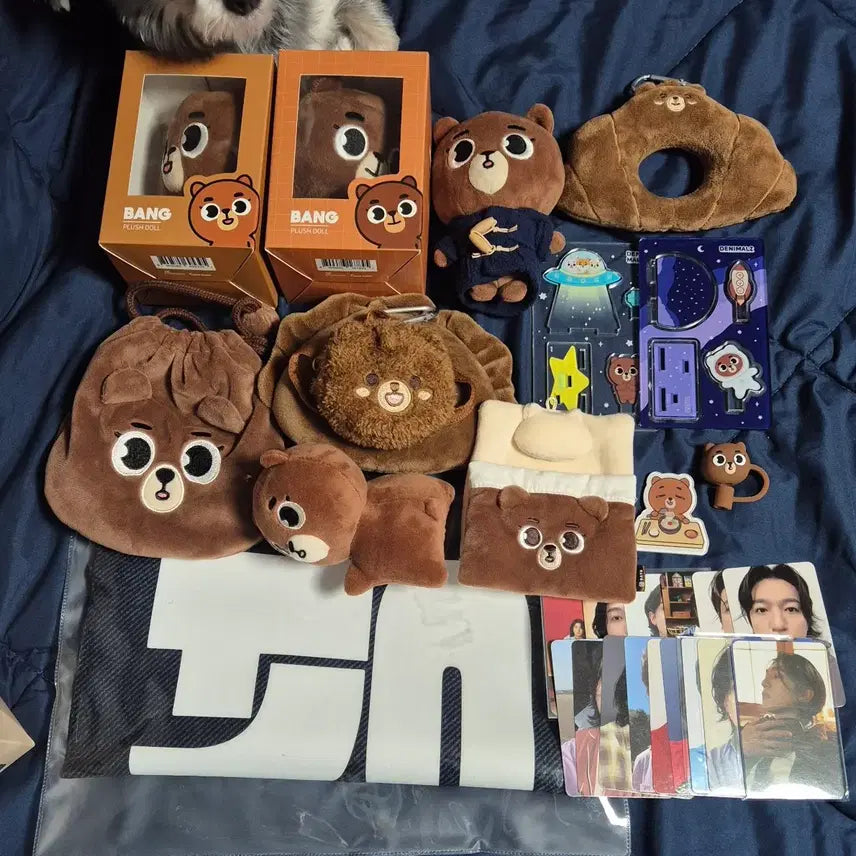 [BUNJANG] DAY6 Denimals Park Sungjin Bundle Set / 데이식스 데니멀즈 방 박성진 성진 굿즈 일괄 양도