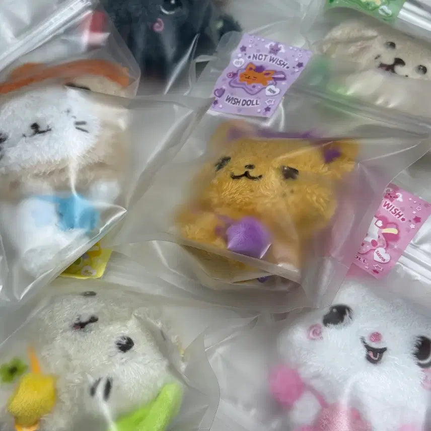 [BUNJANG] NCT WISH WishDoll Sealed Bundle Set / 엔시티위시 위시돌 미개봉 일괄양도 시오닝 쿠리 버블냥 댕트 룐룐 팡이