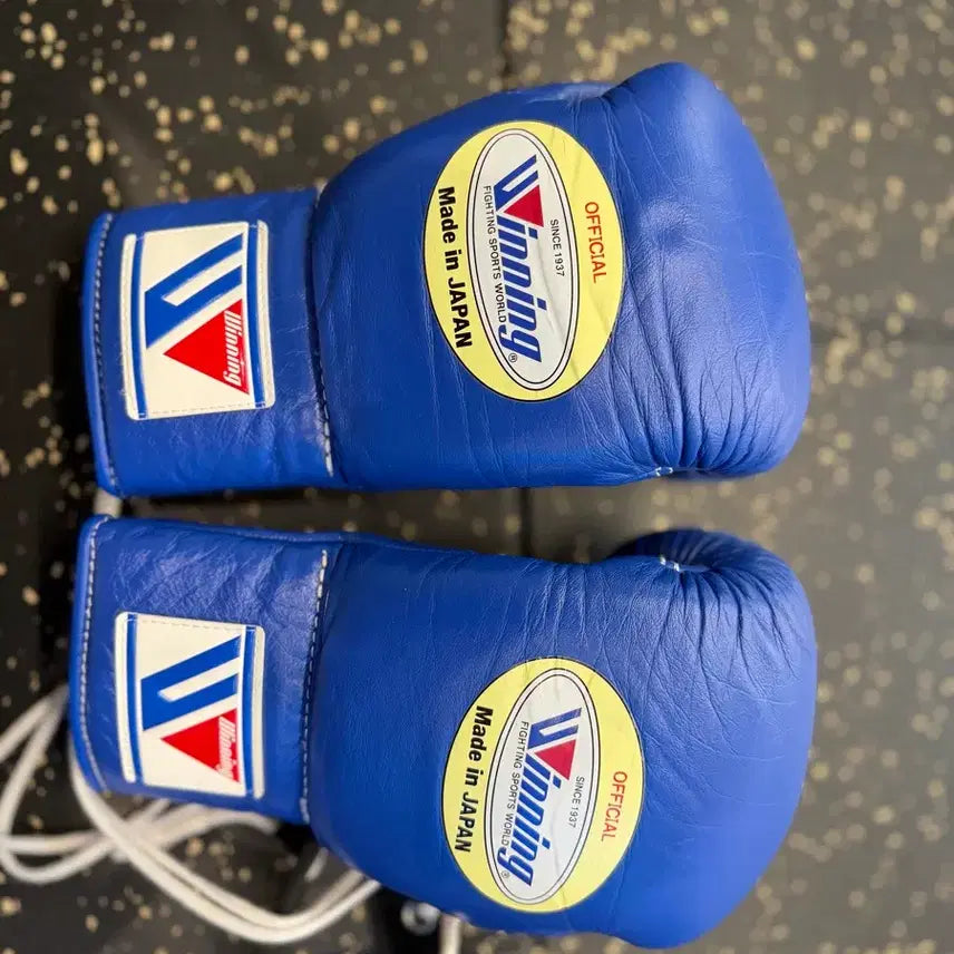 [BUNJANG] Winning Official 8oz Boxing Gloves (Blue) / 위닝 오피셜 8온스 글러브 (블루)