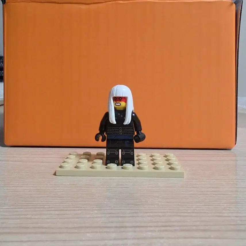 [BUNJANG] LEGO Ninjago Harumi / 레고 닌자고 하루마