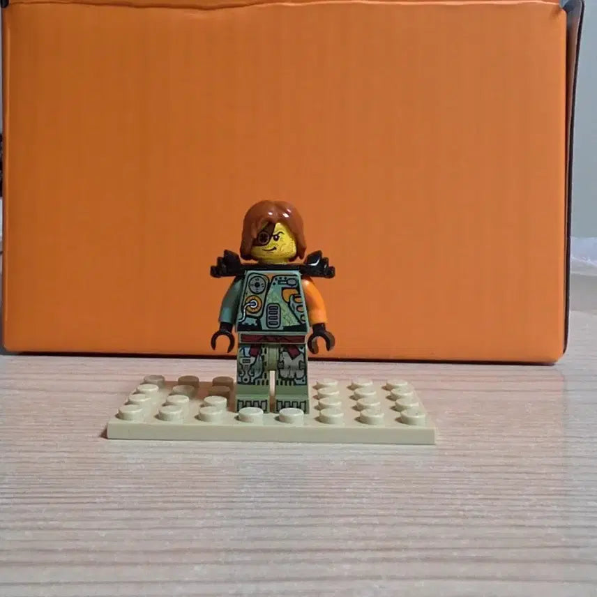 [BUNJANG] Lego Ninjago Ronin / 레고 닌자고 로닌