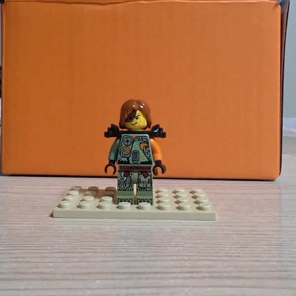[BUNJANG] Lego Ninjago Ronin / 레고 닌자고 로닌