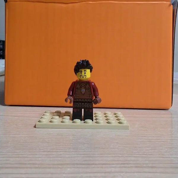 [BUNJANG] LEGO Ninjago Ray / 레고 닌자고 레이