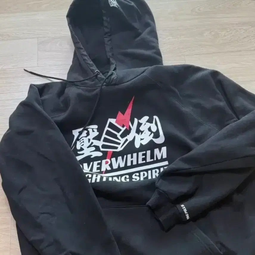 [BUNJANG] Hooded Sweatshirt / 압도 후드티 사진속 똑같은 제품 파는분 연락주세여