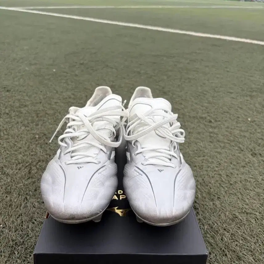 [BUNJANG] Adidas Copa Pure 2 Elite FG Football Boots / adidas COPA PURE 2 ELITE FG 265