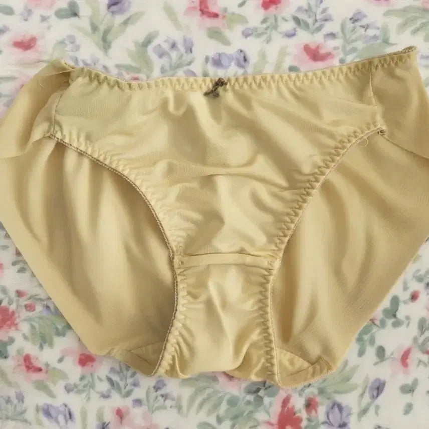 [BUNJANG] Used Silky No-Line Women's Panties (Size M) / (중고) 실키한 노라인 여성팬티