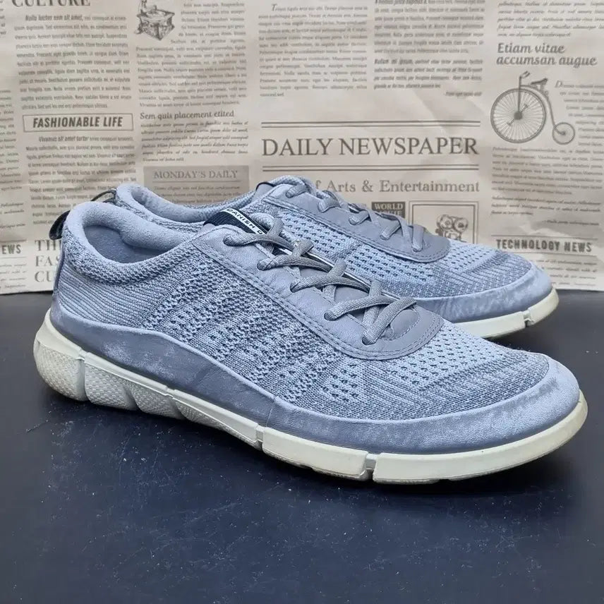[BUNJANG] Ecco Intrinsic Knit Sneakers Size 39 (250) / 에코 인트린직 니트 스니커즈 39 250