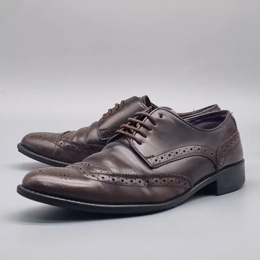 [BUNJANG] Soda Solpark Men's Wingtip Shoes 255 / q 소다 솔파크 남성윙팁구두255