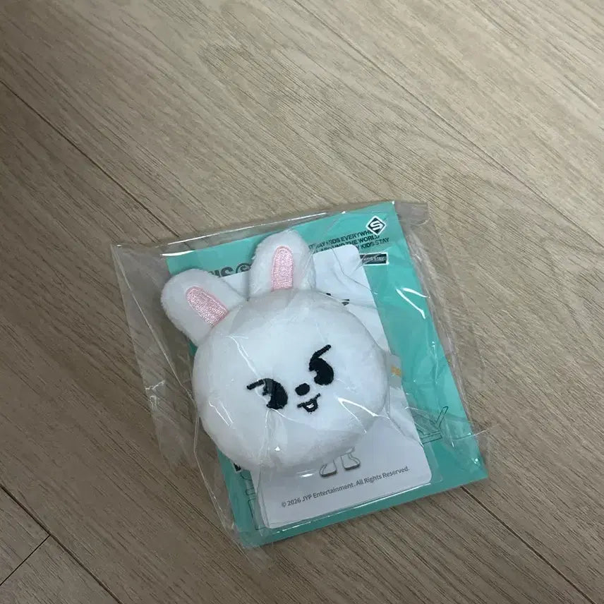 [BUNJANG] This&That SKZOO Ribbit Magnet Holder (Sealed) / this&that 팝업 리빗 마그넷홀더 미개봉 스키즈 스키주