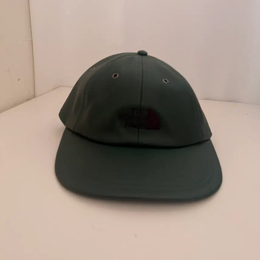 [BUNJANG] Supreme x The North Face Leather 6-Panel Cap / 슈프림 x 노스페이스 레더 6-패널 캡