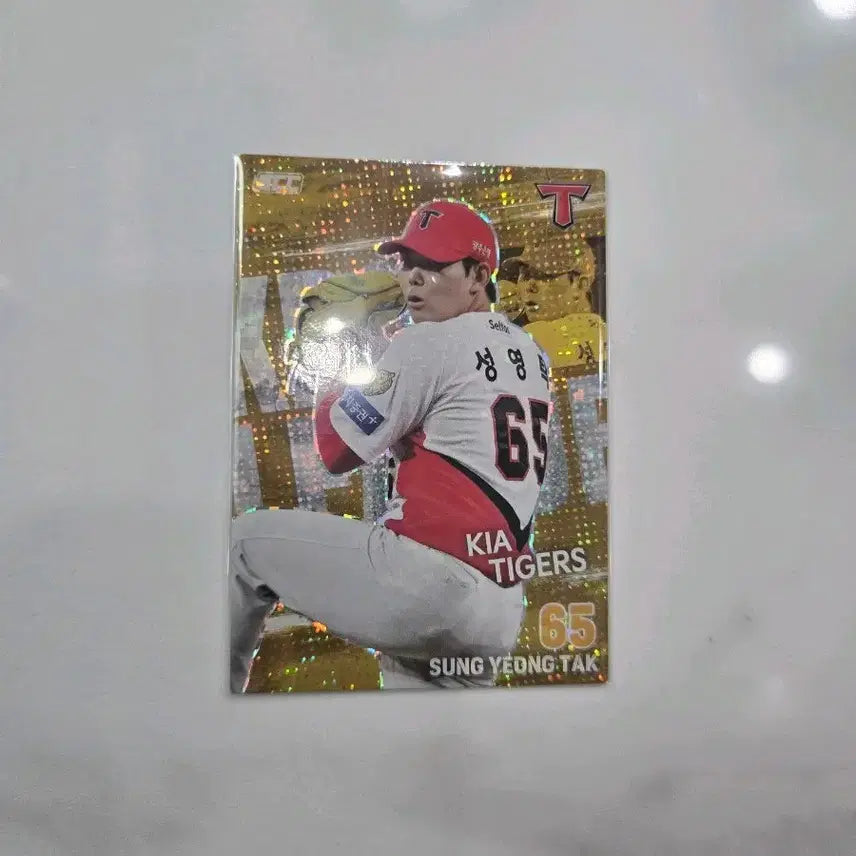 [BUNJANG] KBO Plus Kia Tigers Sung Young-tak Holo Parallel Card / KBO플러스 카드 기아타이거즈 성영탁 홀로패러렐