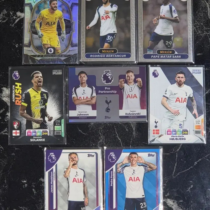 [BUNJANG] Tottenham Hotspur Player Cards 8 Types Bundle Set / 토트넘 홋스퍼 선수 카드 8종 일괄 (요리스, 벤탄쿠르 등)