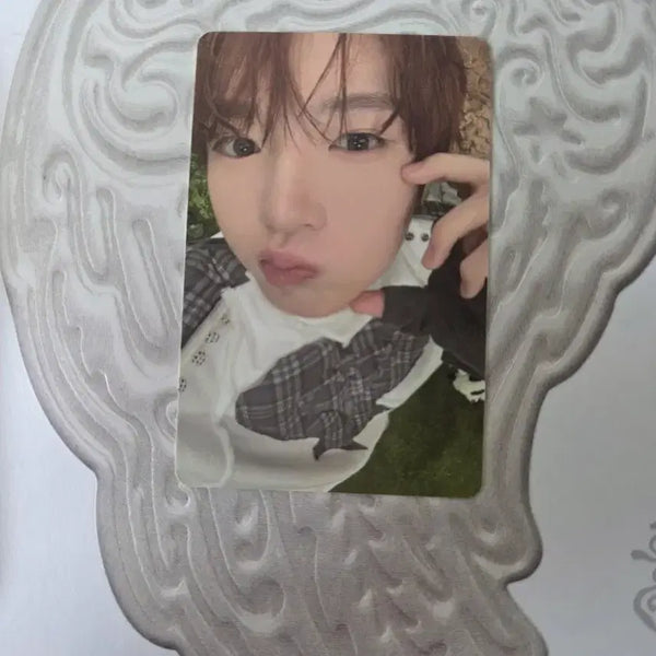 [BUNJANG] NCT WISH Sakuya Color Album Photocard / 엔시티위시 사쿠야 color 앨범 포토카드 양도