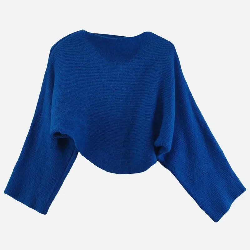 [BUNJANG] Women's Blue Knit Top / 블루 여자 FREE 니트 O1265