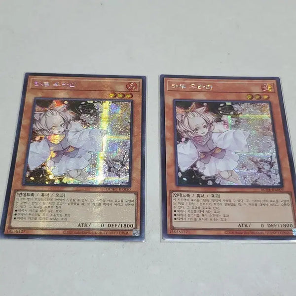 [BUNJANG] Yu-Gi-Oh! Ash Blossom & Joyous Spring Secret Rare 2-Card Bundle Set / 유희왕 하루 우라라 시크 2장 일괄