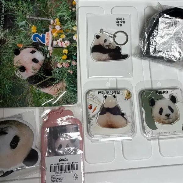 [BUNJANG] Fu Bao Discontinued Bundle Set / 푸바오 단종템 일괄