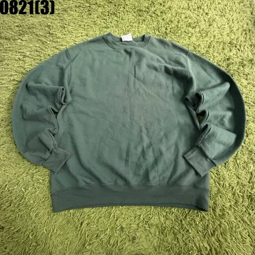 [BUNJANG] Champion Basic Sweatshirt Green M / 챔피온 기본 맨투맨 그린 m 8/21