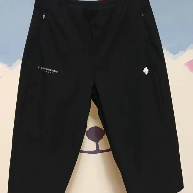 [BUNJANG] Descente Women's Slim Fit Cooling 7-Part Woven Pants (M) / (M) 데상트 여성 슬림핏 쿨링 7부 우븐 팬츠