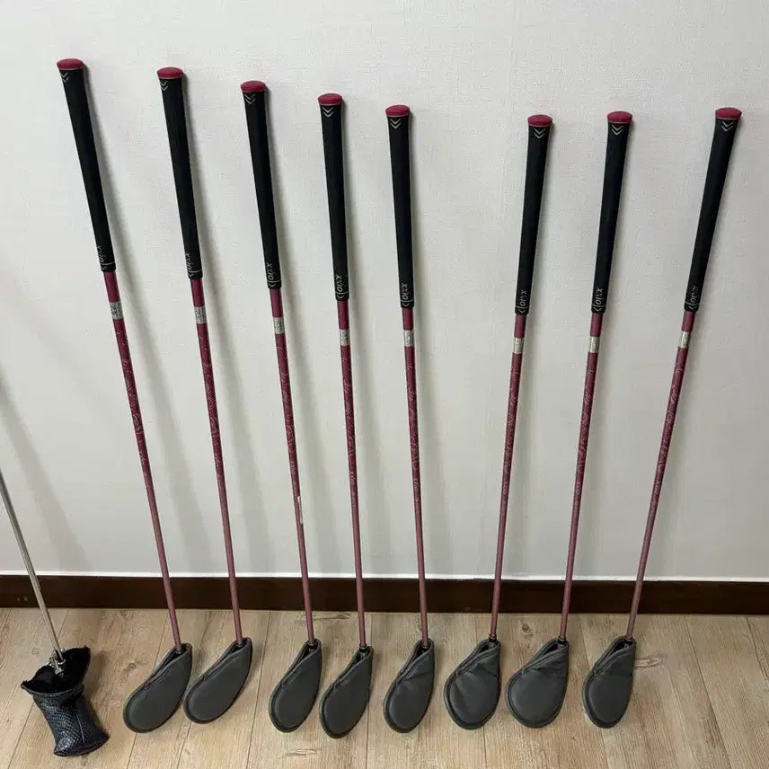 [BUNJANG] XXIO 10 Women's Iron Set / 젝시오10 여성용 골프채 아이언세트