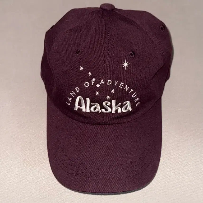 [BUNJANG] Vintage Burgundy Baseball Cap / 빈티지 볼캡