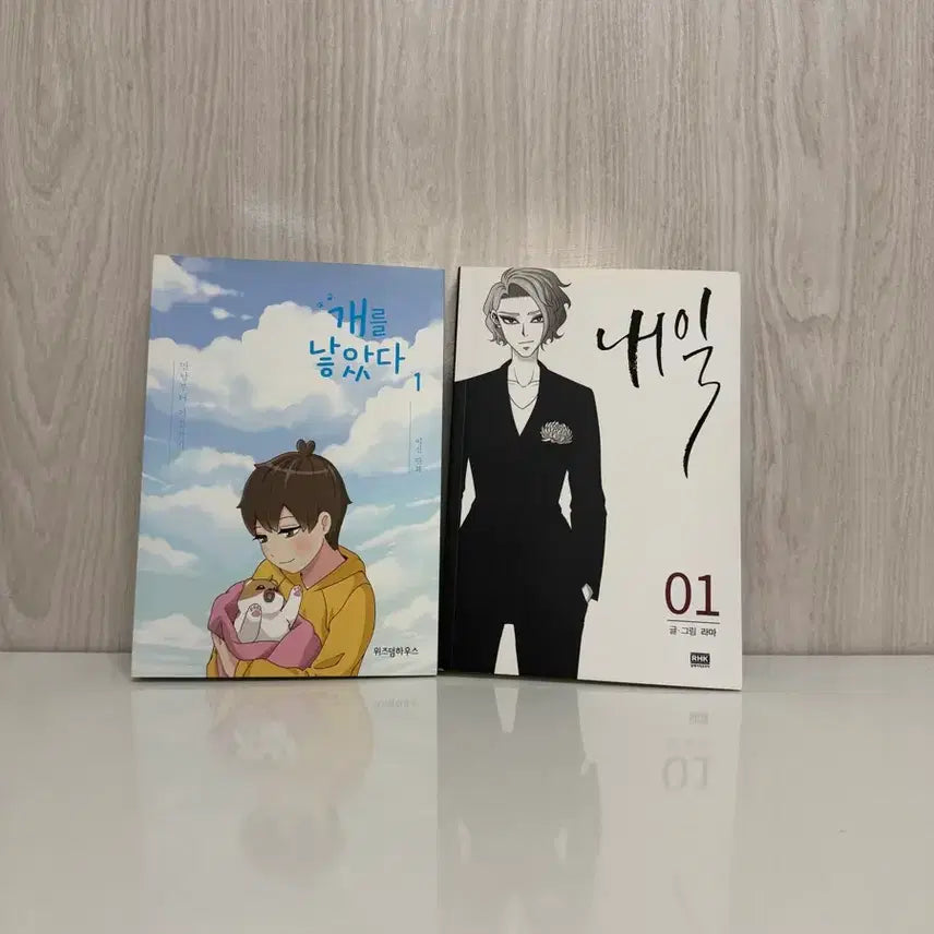 [BUNJANG] Webtoon Original Book Set / 웹툰 원작 도서 판매합니다.