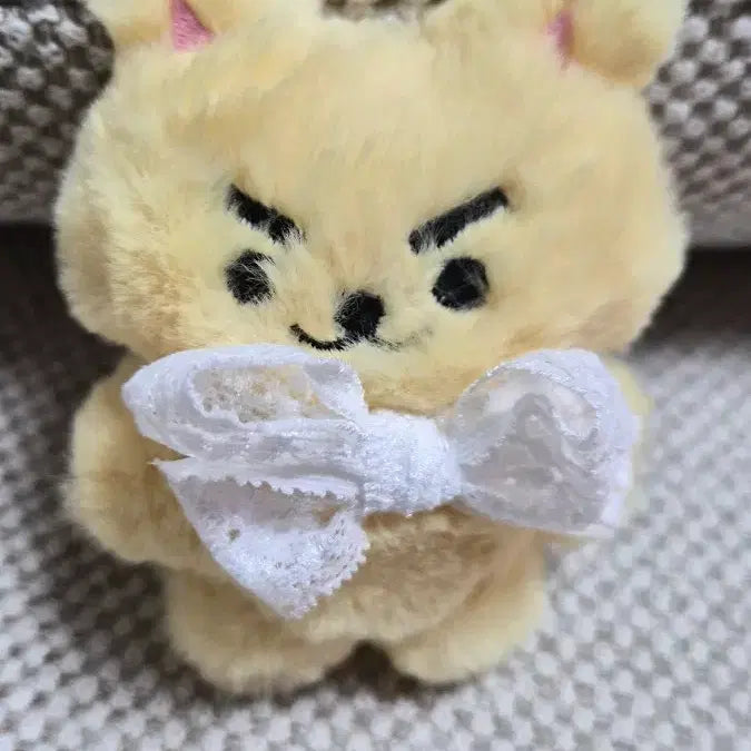 [BUNJANG] Fluffy Cat Plush Toy (Yellow/Cheesecake Cat) / 털찐냥이(노란색/치즈 고양이) 솜인형