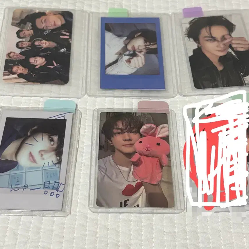 [BUNJANG] ENHYPEN Jungwon Bundle Set Photocard / (일괄) 엔하이픈 정원 포카