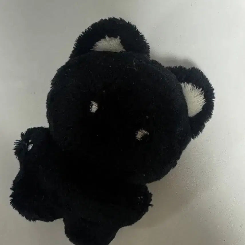 [BUNJANG] TAESAN BOYNEXTDOOR SOMTAESAN Plush / 태산 보넥도 솜태산